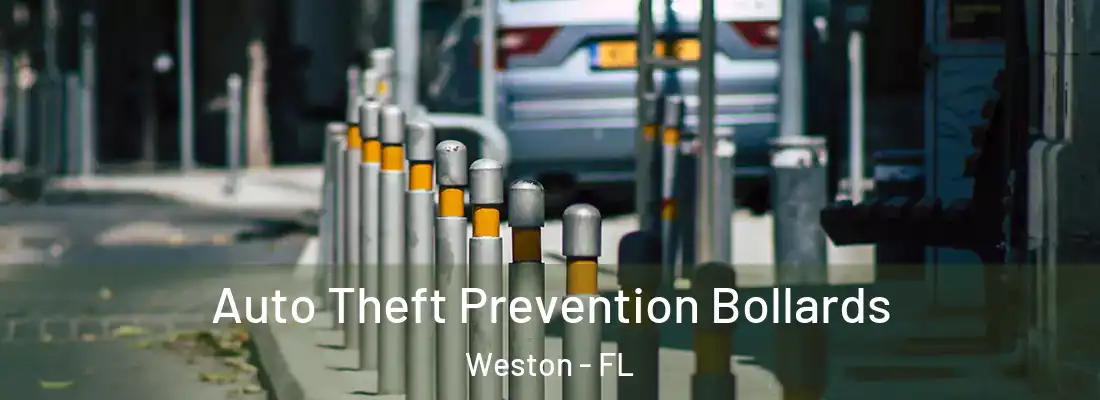 Auto Theft Prevention Bollards Weston - FL