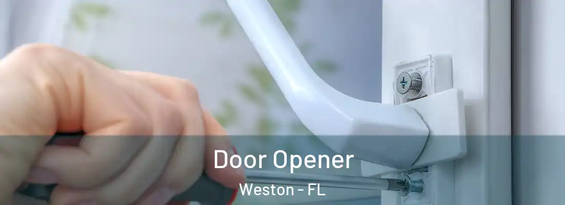 Door Opener Weston - FL
